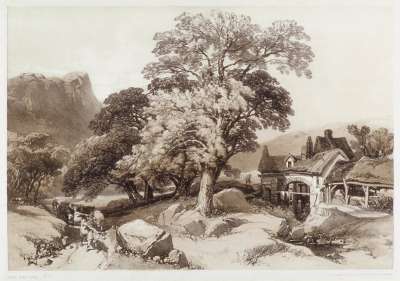 Image of Ash and Oak