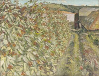 Image of Runner Beans, Stoughton