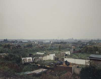 Image of Allotments, Ely, Cambridgeshire