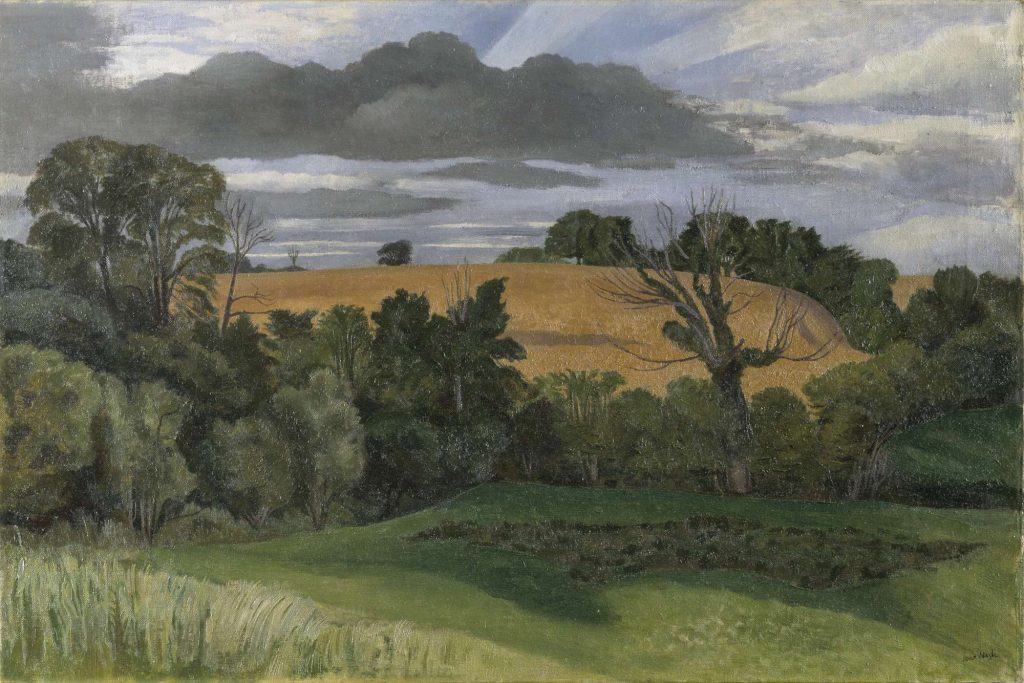 View of a rural landscape with green fields, a yellow cornfield and trees