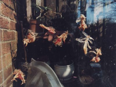 Flower pots sit in front of a brick wall catching the sun